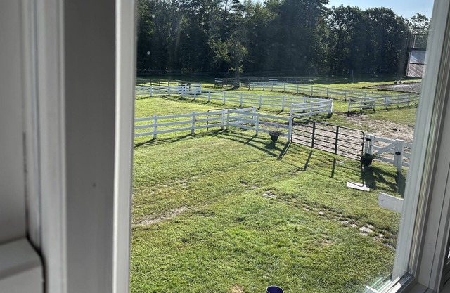 Spacious studio on a beautiful working horse farm