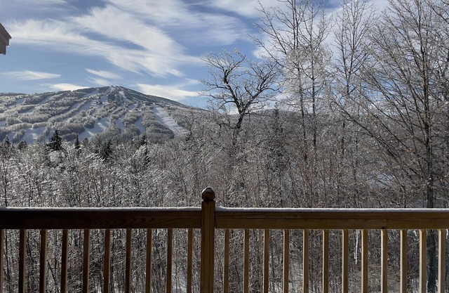 Spacious Townhome with breathtaking views of Mount Snow. 5 min Shuttle to ski
