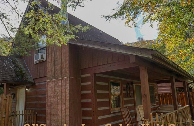 Ol'Smoky Log Cabin on the River Unit 3