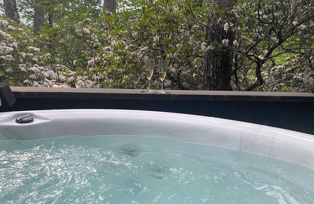 Priceless mountain views in beautiful 1 BR unit with private hot tub!