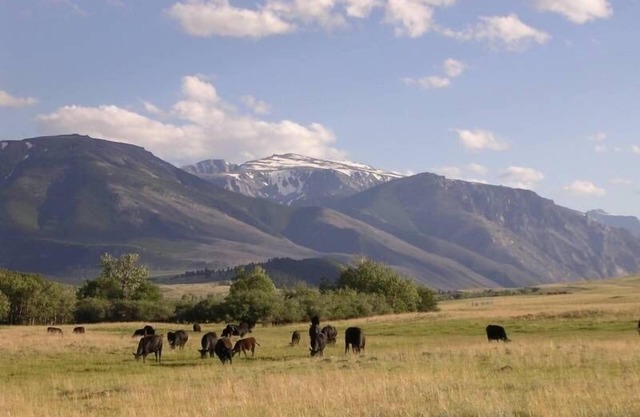 Vues spectaculaires sur les montagnes - Roscoe Rental Home
