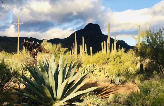 Espectacular villa del desierto