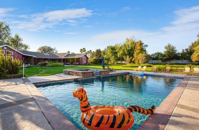 Spectacular Vineyard Estate with Towering Palm Trees and Picturesque Vines!