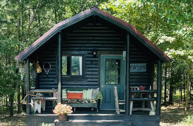 Ferme / chalet fauve tacheté