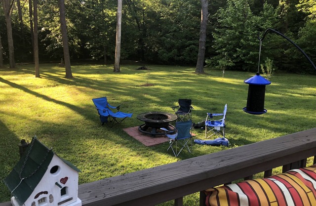 NOUVELLE LISTING À PICKWICK! Grande maison avec accès au lac; Les aigles nichent dans le dos!