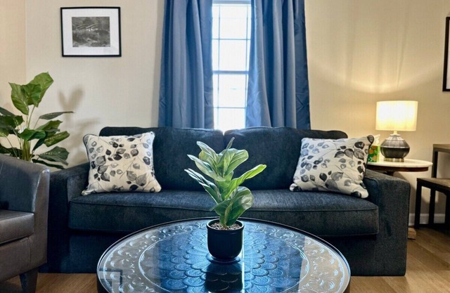 Spring Street Suites C / Stylish 3BD/1BA Apt