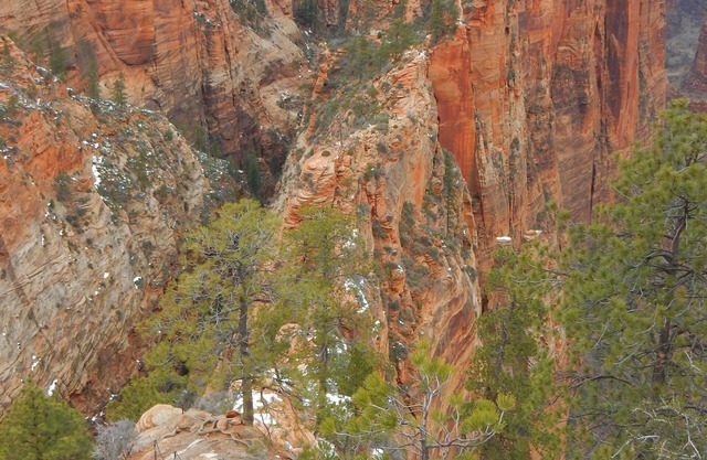 Springdale Townhome at Zion National Park - 2 chambres, 2. 5 salles de bain