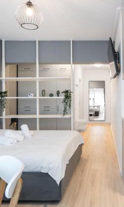 Springview Studio