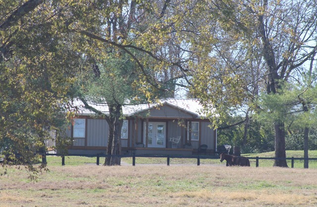 Springwood Cottage au coeur du Bluegrass