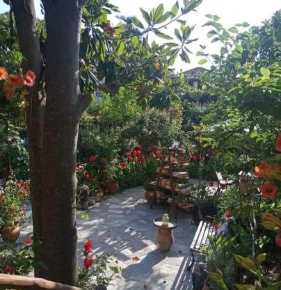 Stamatia's Garden