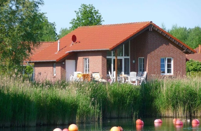 Retraite moderne étoile de mer