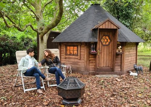 Starry Meadow & Rescued Animal Experiences