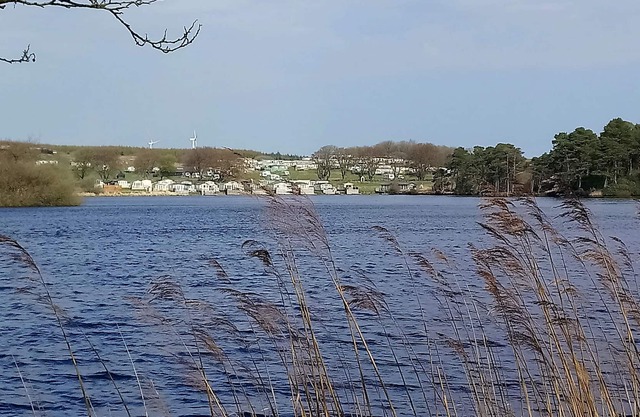 Location d'une caravane statique en bordure de la forêt de Galloway