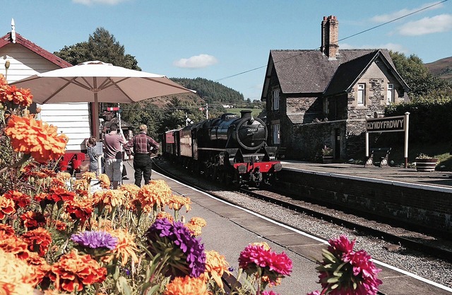 Hébergement 3 chambres à Glyndyfrdwy, près de Llangollen