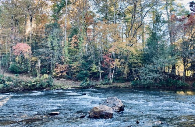 Stay at Rivermist Dahlonega