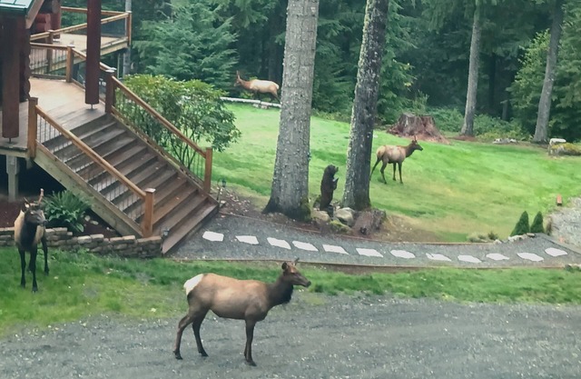 Say Hello To The Loft! Romantic, quiet, loads of activities & good food nearby.