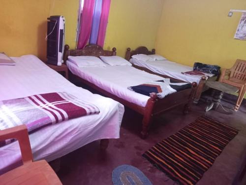 Stay in Green Homestay hirakolale back water Chikmagalur 577101