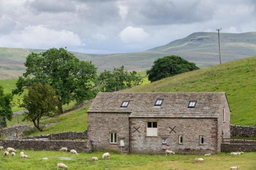 Stay Lambing Live