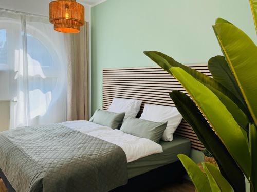 StayNature - 3 BR - APP modern, ruhig & zentral