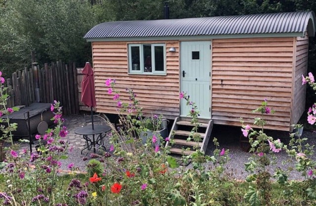 Steam & Stars Luxury Glamping -Willow shepherd hut