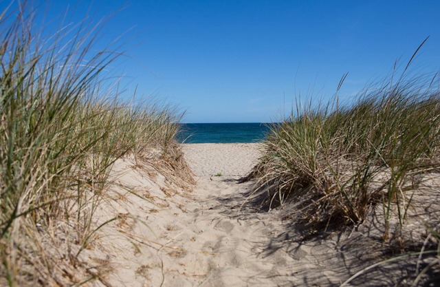 ÉTAPES DE SCONSET BEACH