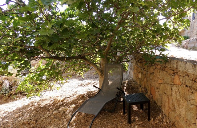 Maison de village en pierres avec jardin à Monacia d'Aulléne /corse-du-sud