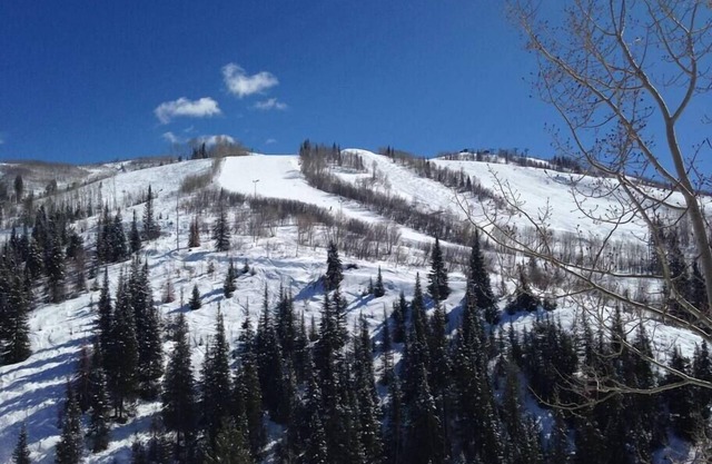 Magnifique Ski-in / Ski Out avec vue sur la montagne