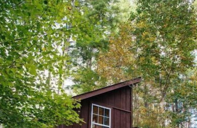 Storybrooke Cabin- Pond, Outdoor Fireplace, Trails