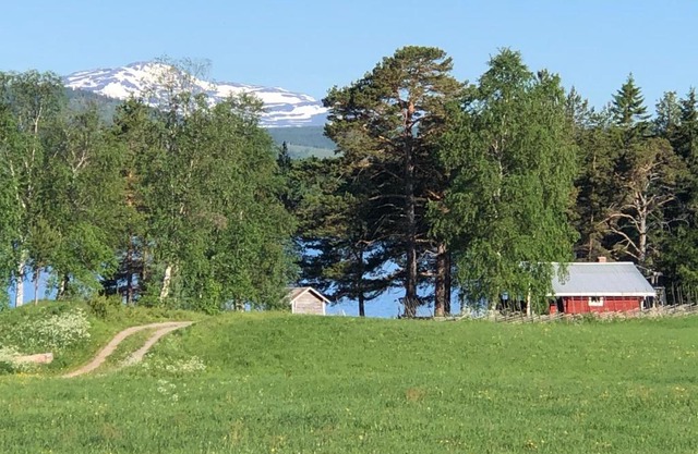 Strandgården i Åredalen, stugor