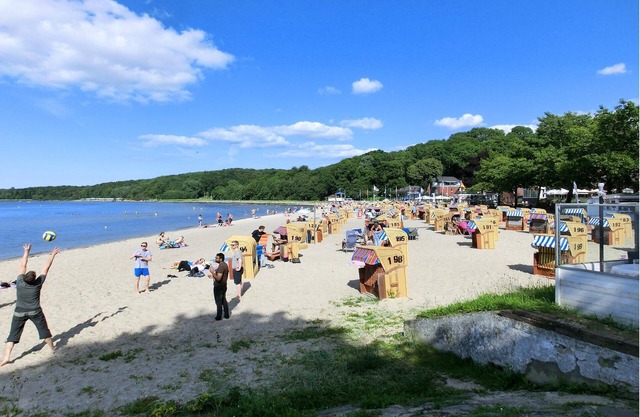 Beach grass - view of the marina and the Kiel inner fjord