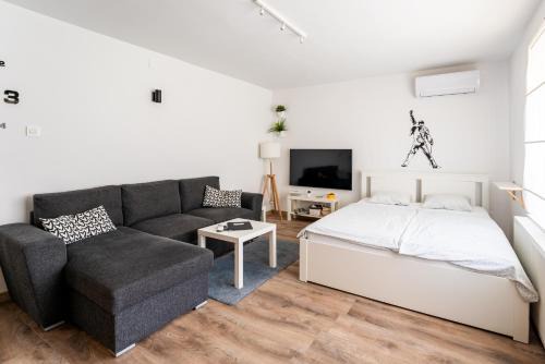 Studio apartman QUEEN apartmani Borik