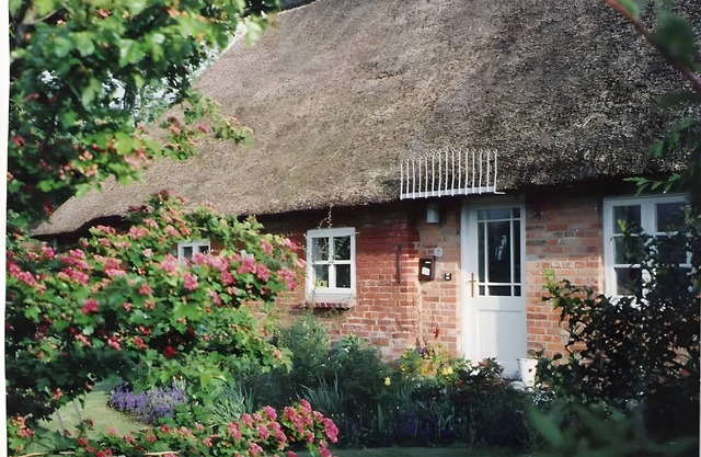 Studio 'Friesenhaus Anke' avec jardin partagé et Wi-Fi