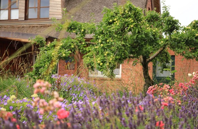 Studio 'Lüttdeel' avec terrasse privée, jardin privé et Wi-Fi