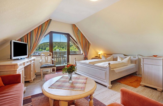 Studio 'Pension Bergblick - Silberstraße' avec vue sur la montagne, balcon et Wi-Fi