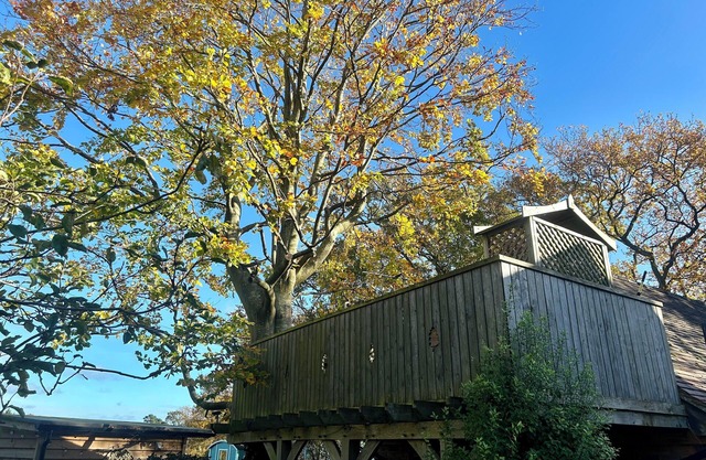 Studio & balcon avec arbre qui y pousse, escalier en colimaçon, vue imprenable.