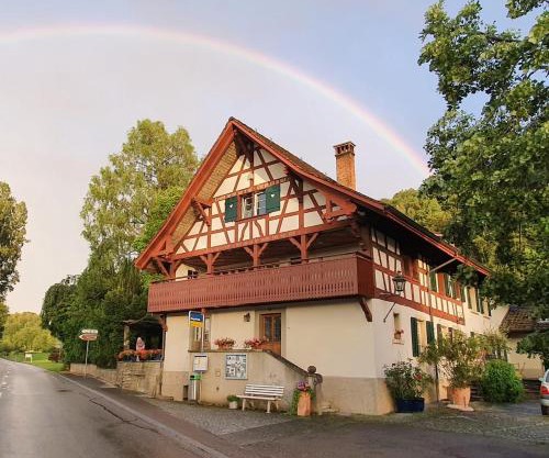 Studio beim Rhein - Ziegelhütte