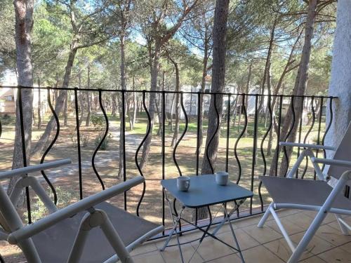 Studio cabine à 200m de la plage, animaux admis, proche commerces - FR-1-225-687