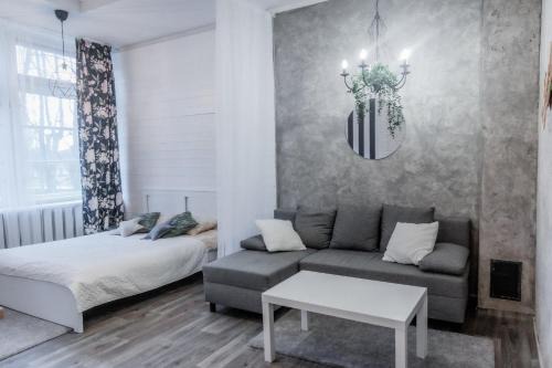 Studio type apartment in Ķegums