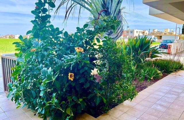 Stunning 1-bed Apartment in Larnaca Near the sea