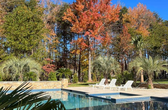 Stunning 4 Bed House Perfect for Nature Lovers