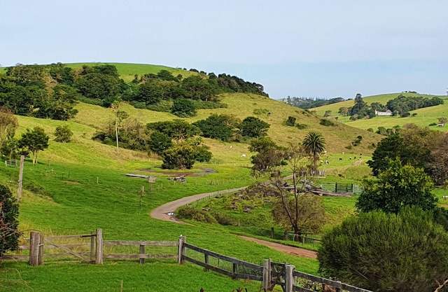 Stunning cottage on beautiful farm close to beaches and cafes