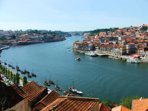 Stunning Designer Flat with Balcony Heart of Porto