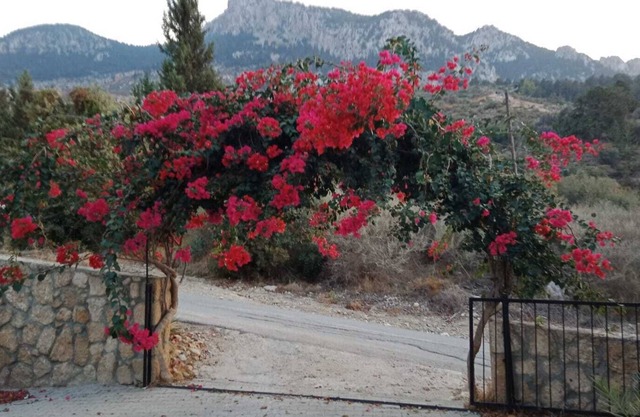 Villa 4 chambres, vue mer et montagne Karsiyaka