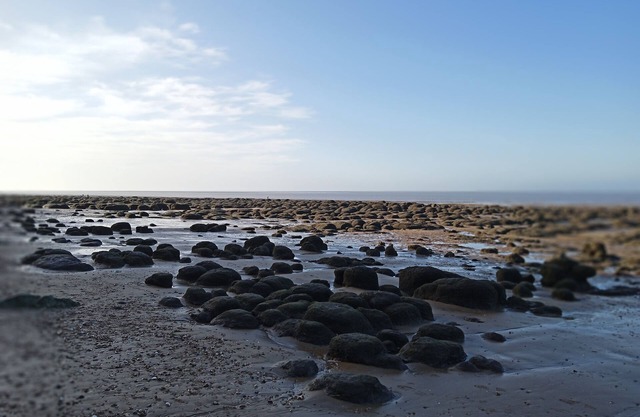 Stunning Driftwood Cottage at Holme-next-the-sea