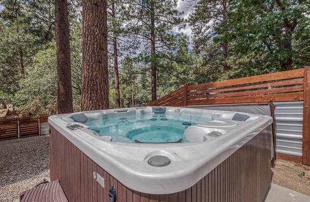 Superbe cabine Fern Valley avec vue sur la forêt et bain à remous privé - chiens bienvenus!