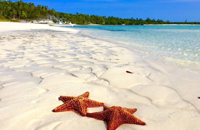 Superbe plage de sable rose! Navigation de plaisance, pêche au gros, plongée en apnée, kayak depuis notre quai