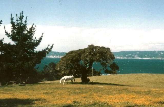 Superbe Ranch Home avec vue sur l'océan