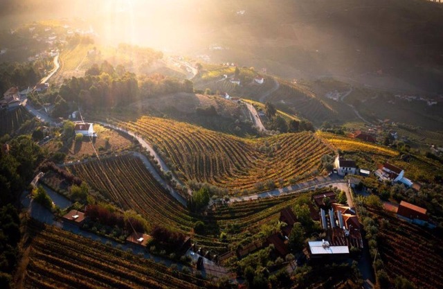 Superbes vues dans le Douro 1