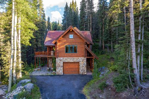 Stunning Views! Ski-InandOut Mountain Village Cabin