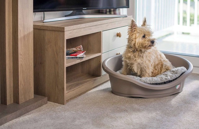 Stylish Comfort 3 (Pet)